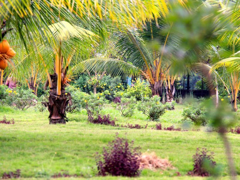 Okura Island Resort And Spa Kadalur Exterior photo